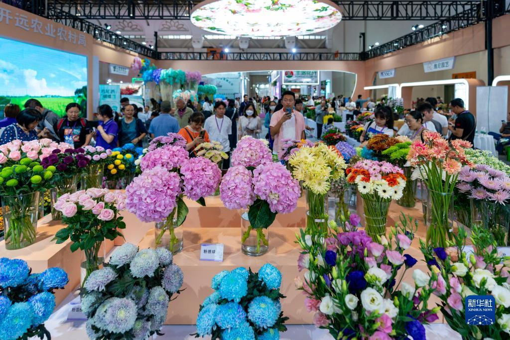 2025白菜体验金无需申请